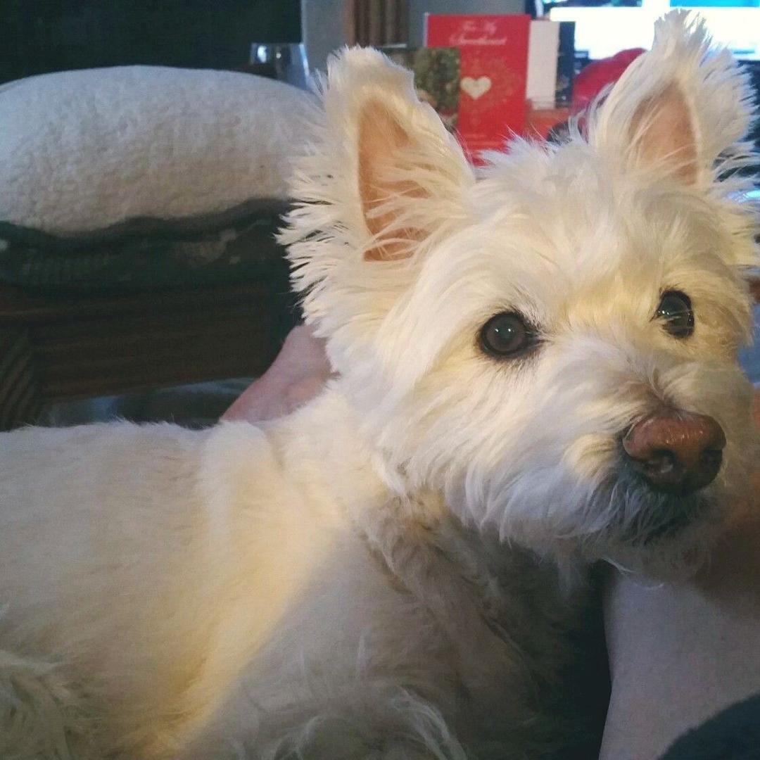 Mosey wishes everyone well