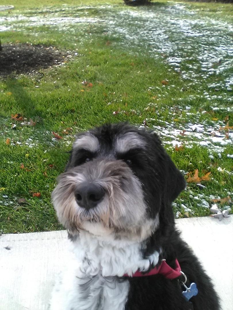 This is Bernie. We hang out every mon and tues.