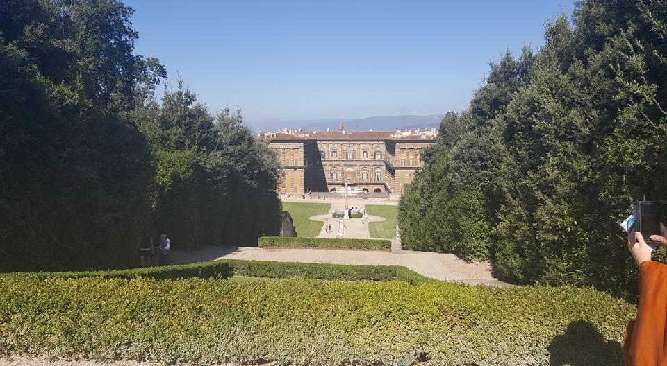 Pitti Palace. Very impressive but recommend a guided tour when visiting this. Too much history involved and on our own we missed too much.