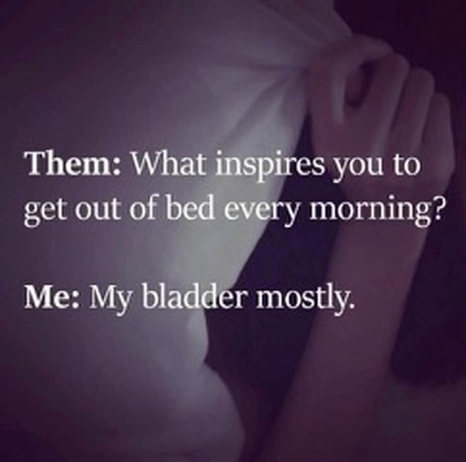 Thomas Lisowski's album, Timeline Photos