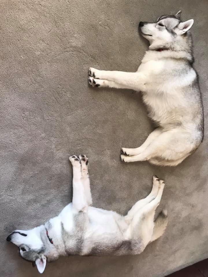 Are you tired of eating turkey?
NO! NO! We said NO!