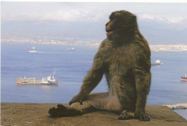 Our son on top of Gibraltar. He needs a haircut.