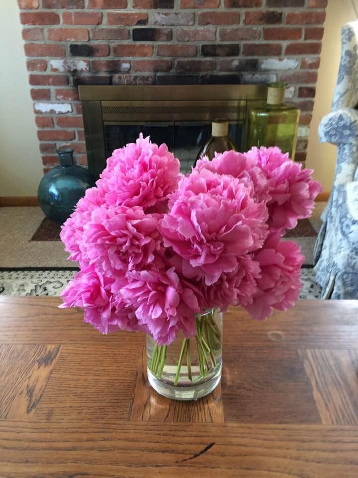 Trying to squeak out one more day before the petals drop