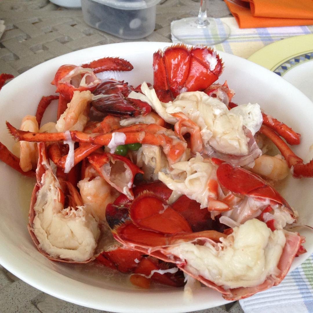 Leftover homemade Lobster Cantonese ....it's what's for dinner!