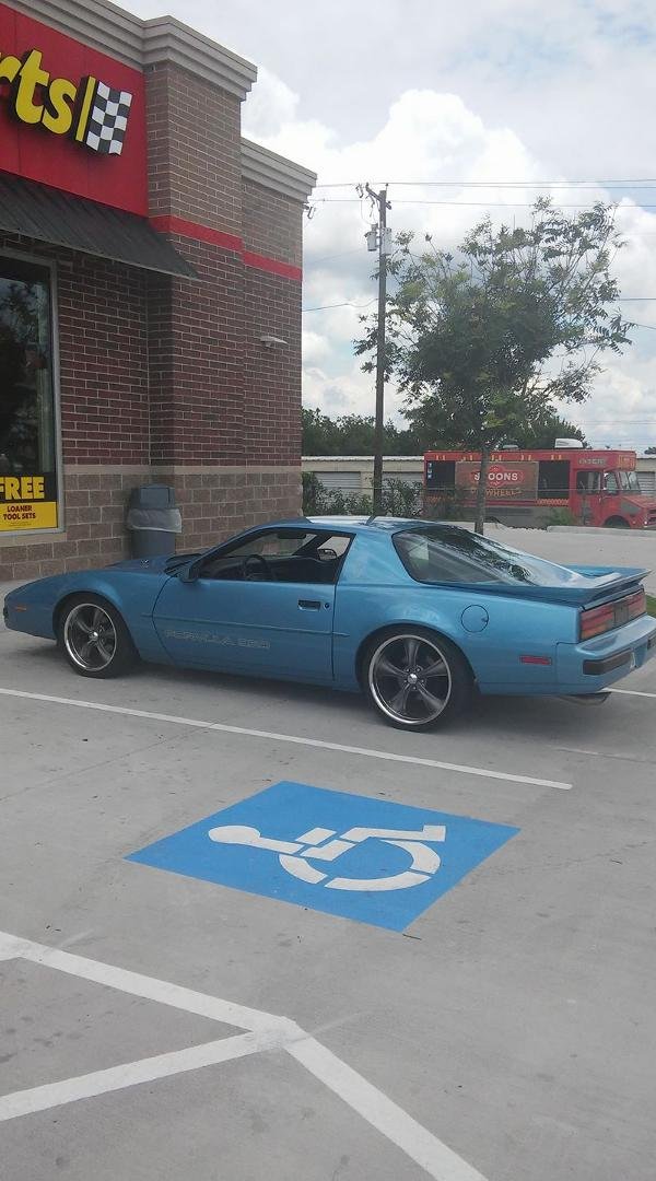 I took out the firebird today for the first time this spring. I thought I wanted to sell her. But after driving her again, I don't know. She started right up after 6 months. Drove like dream, so smooth, no rattles or squeek