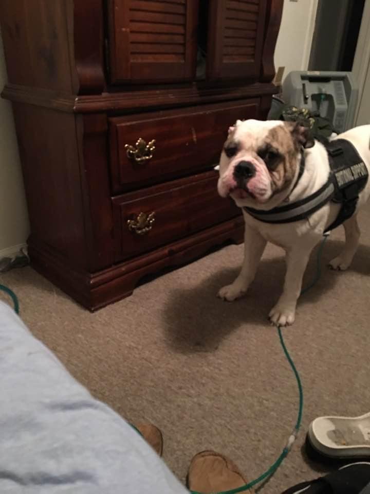 Hey can sleep in up on your bed