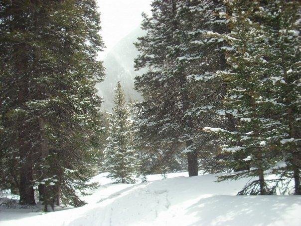 Kelley Brenneman's album, Hiking