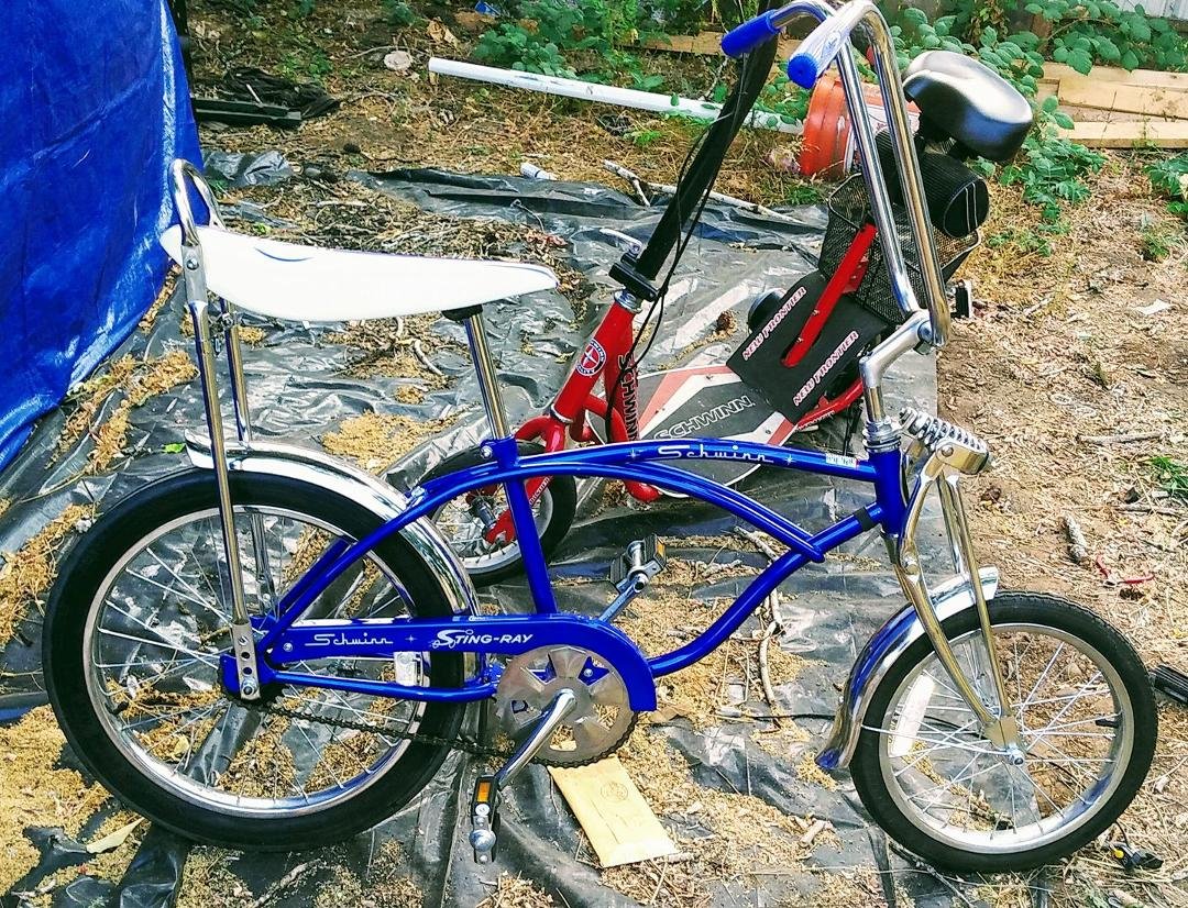 Newest schwinn