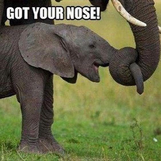 Richie Madden's album, Timeline Photos