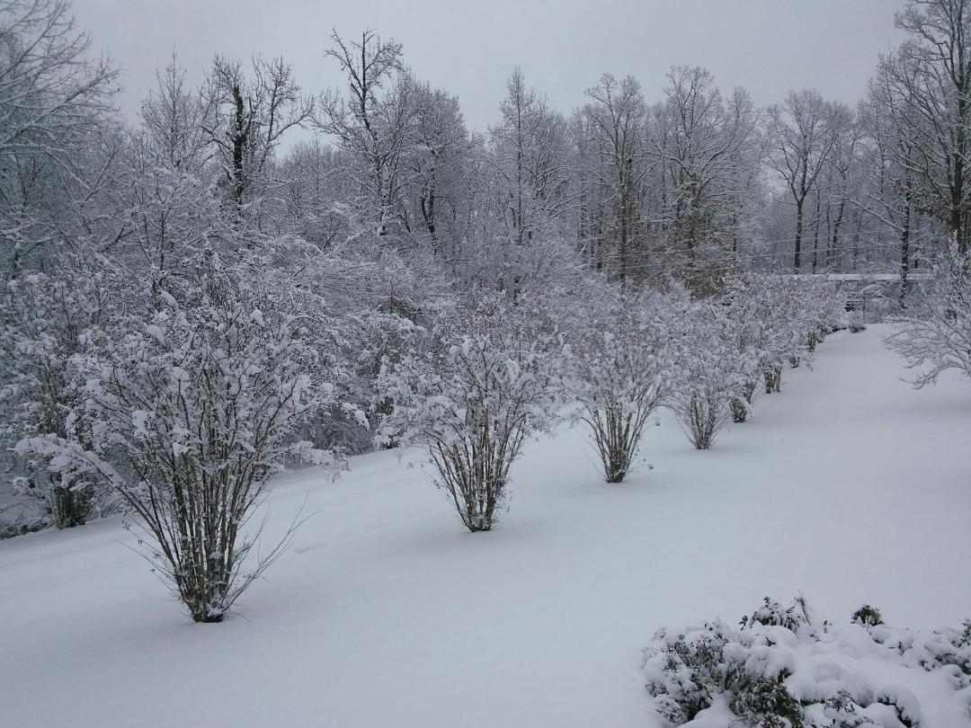 driveway.