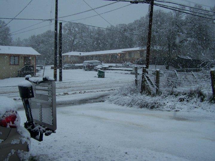 Driveway now slick
