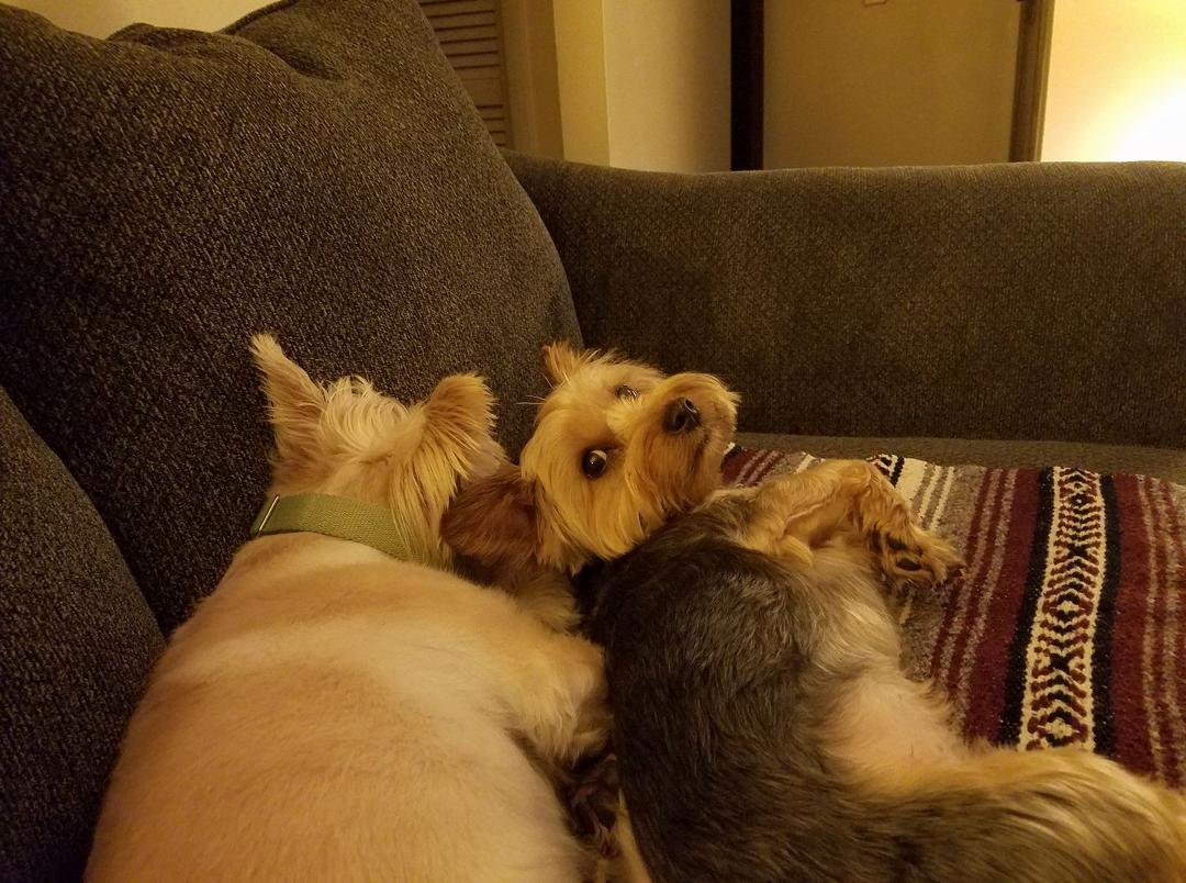Luv these two