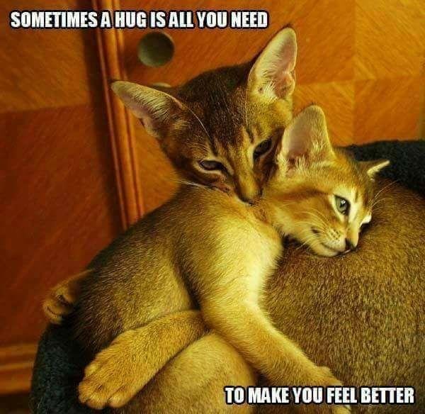 Edna Lee's album, Timeline Photos