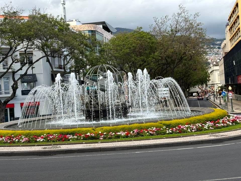Fountain in center of Funchal
