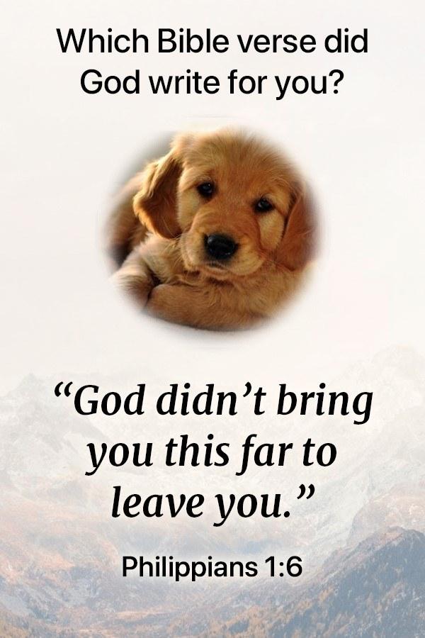 Gary Moore's album, Timeline photos