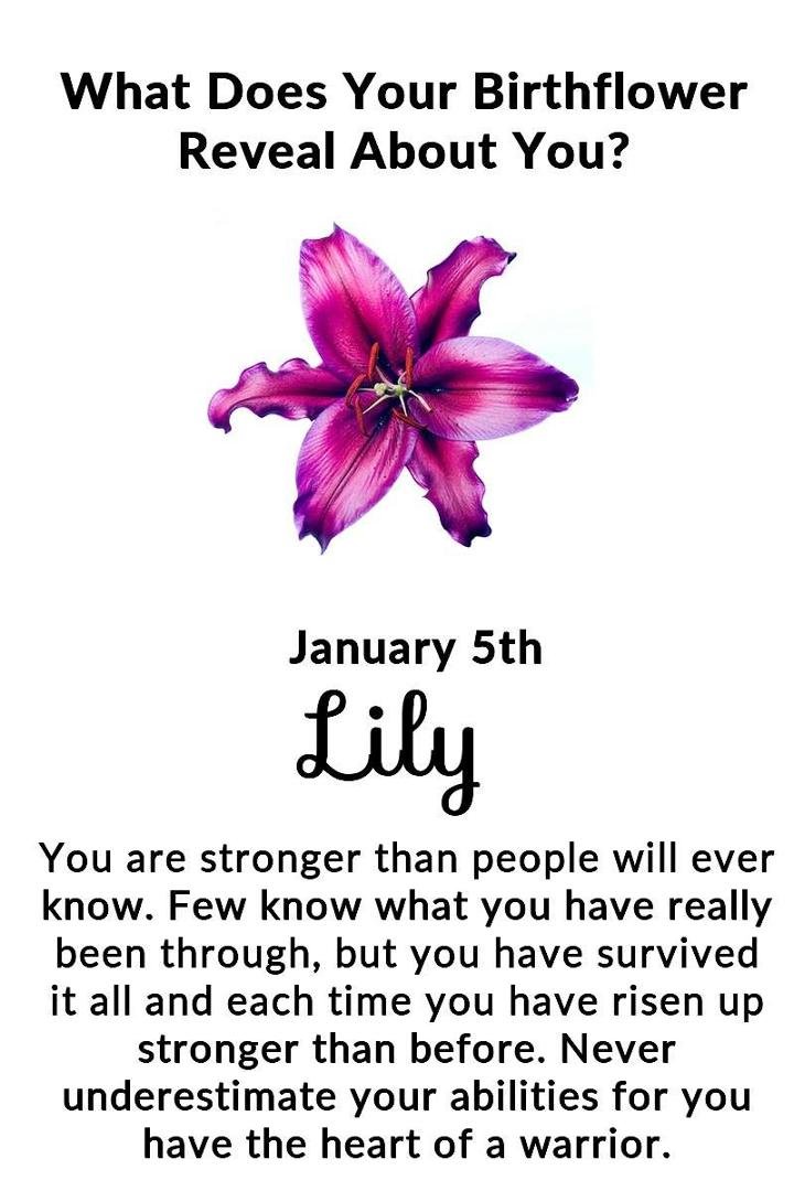 Gloria Hirsch's album, Timeline Photos
