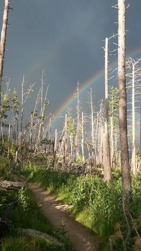 Day 1. The idea is to post a nature picture every day for 7 days and nominate a new person. The photo need not be recent, just something from your timeline. The goal is to flood Facebook with color, life, and hope. Thanks