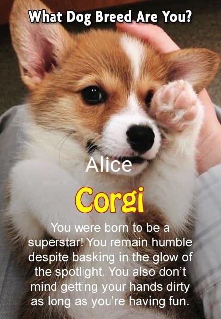 Aww, shorty n sweet with cute butt!!