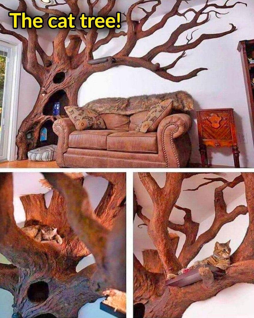 The ultimate cat tree!!! I want! (but I don’t have room or a cat)
