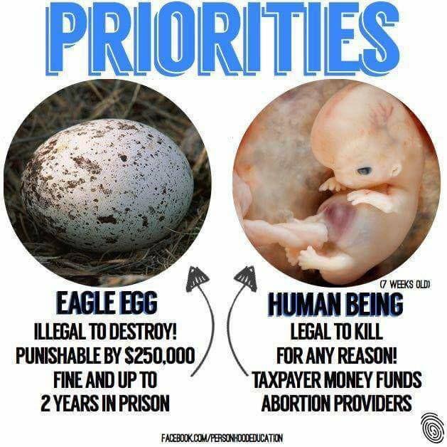 Bernard Kramer's album, Timeline photos