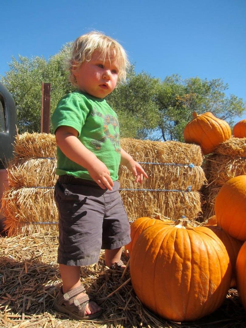 So while big sister is off getting educated, JW, mama and Nanna Diane do all the fun stuff in the morning... like go to check out the Pumpkin Patch for just the right punk to bring home....ahhh the smell of pumpkins... now