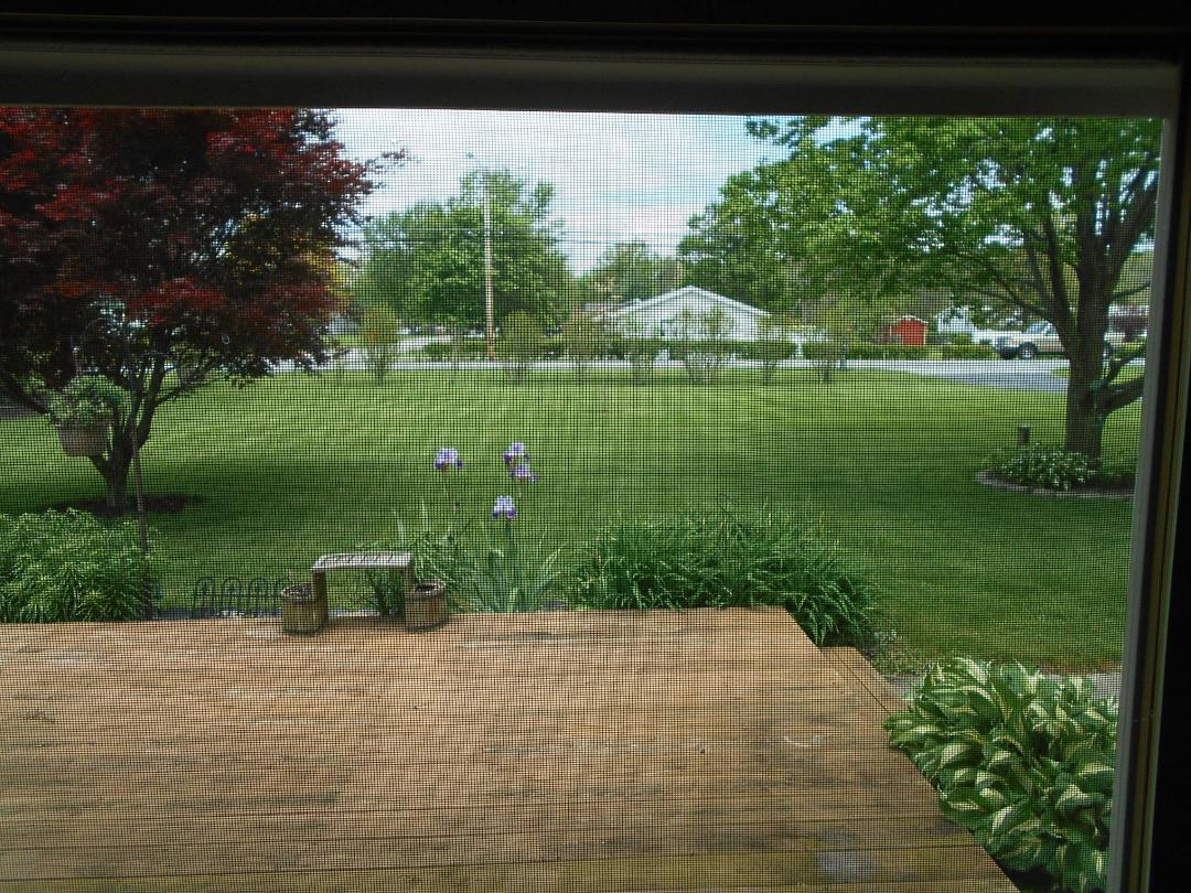 view from my computer. Looks like spring/summer are finaly here