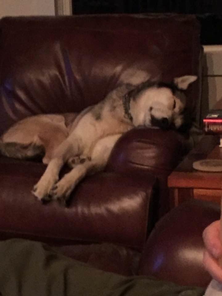 No one zonks like this big boy. Kaze N his dreams.