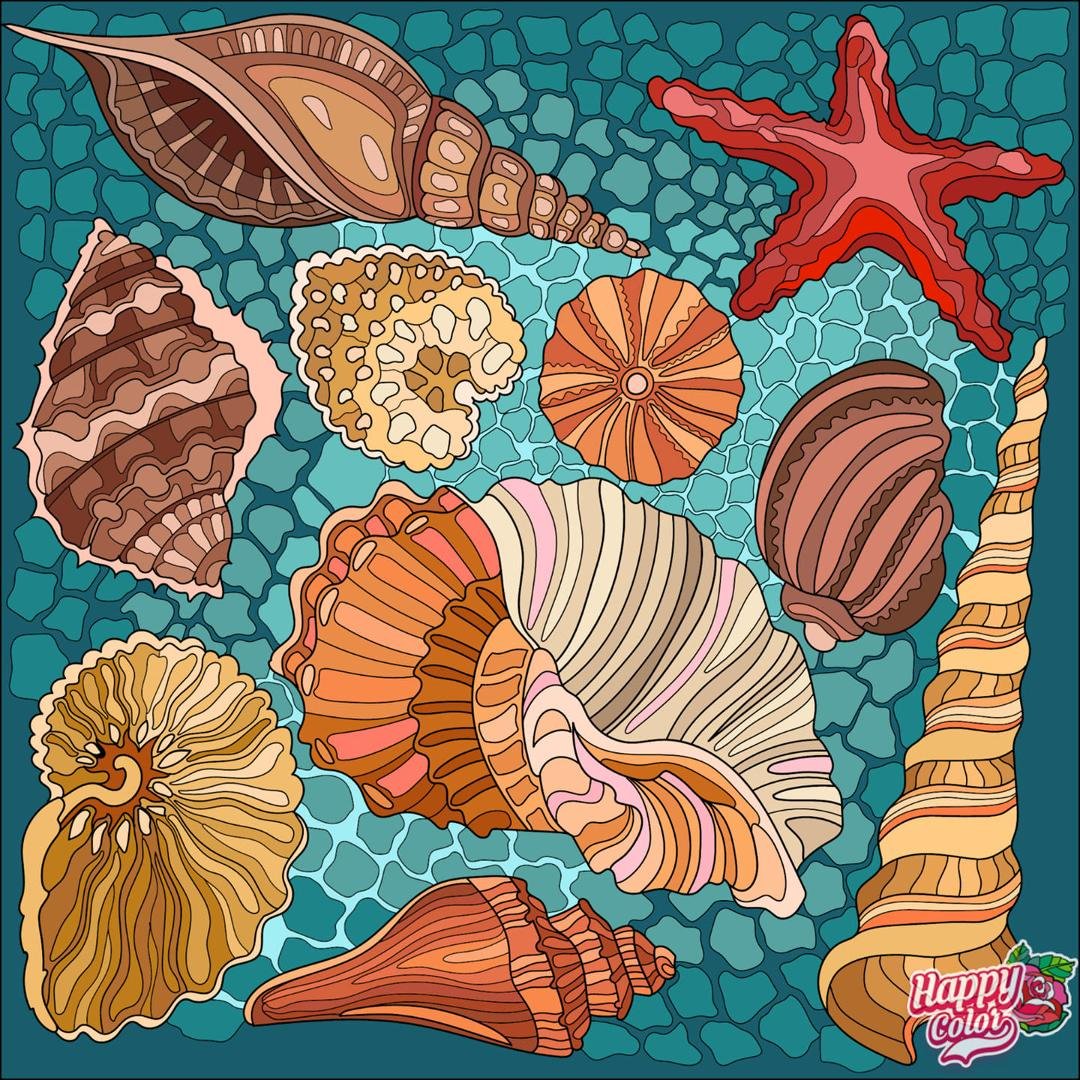 Shells are fun to find!!!