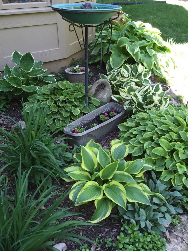 Susan Hall's album, Timeline Photos