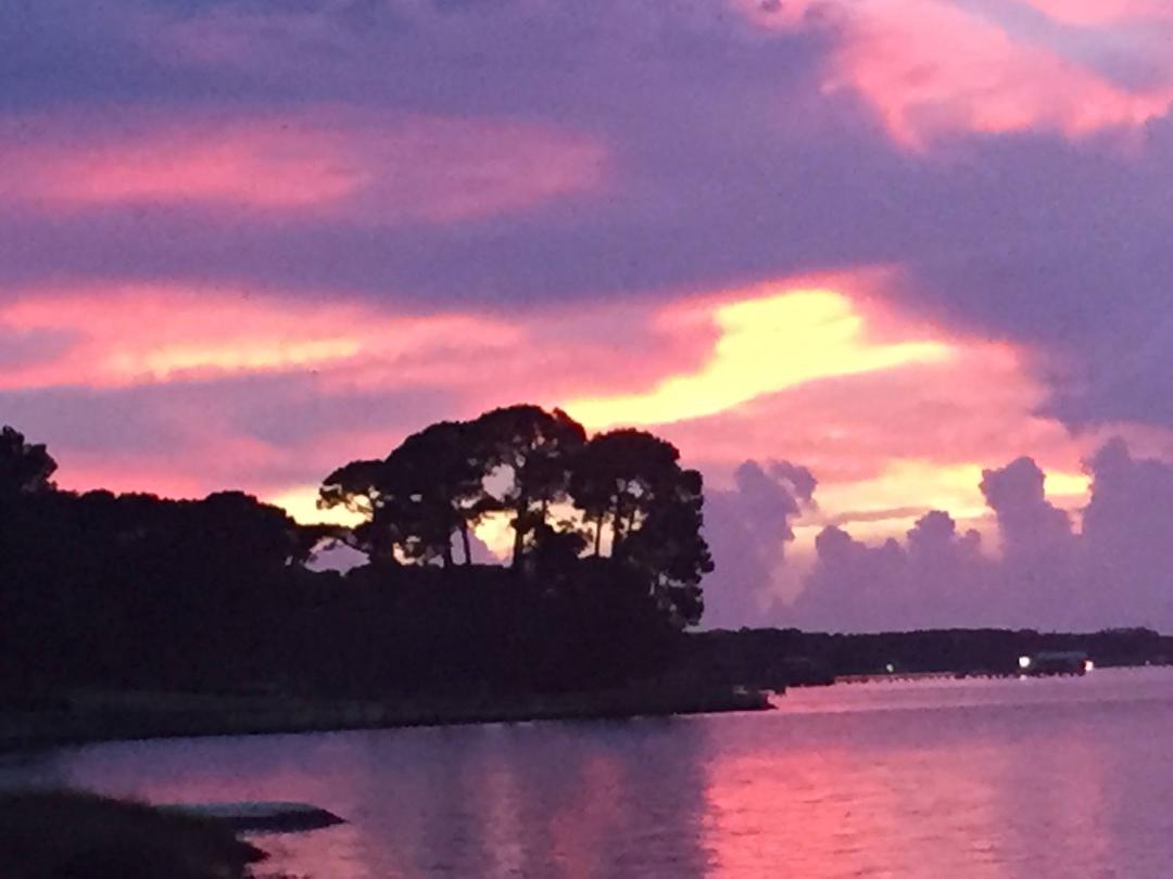 Barb Levi's album, Timeline photos