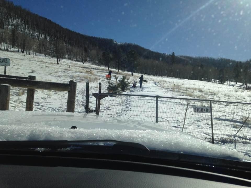 My kids and grandkids playing in the snow. I'm in a warm car