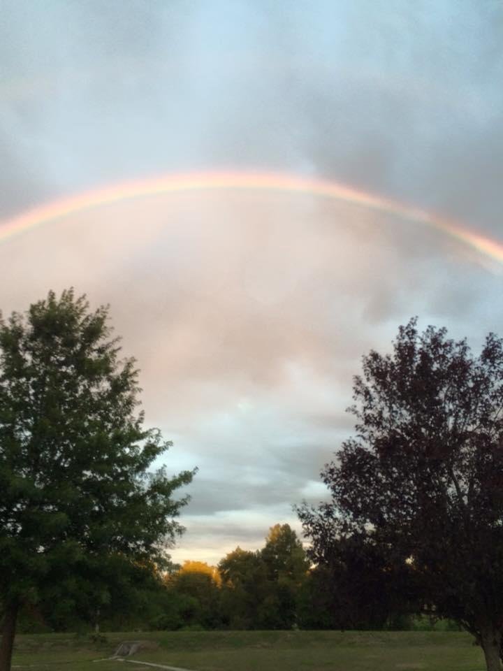 Mark Brewer's album, Mobile Uploads