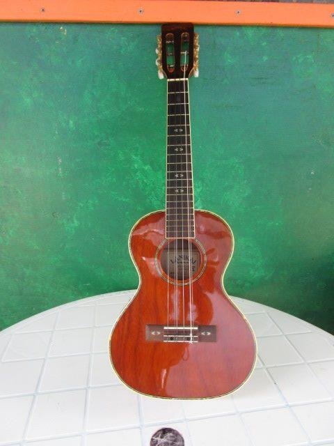 Ukulele Art