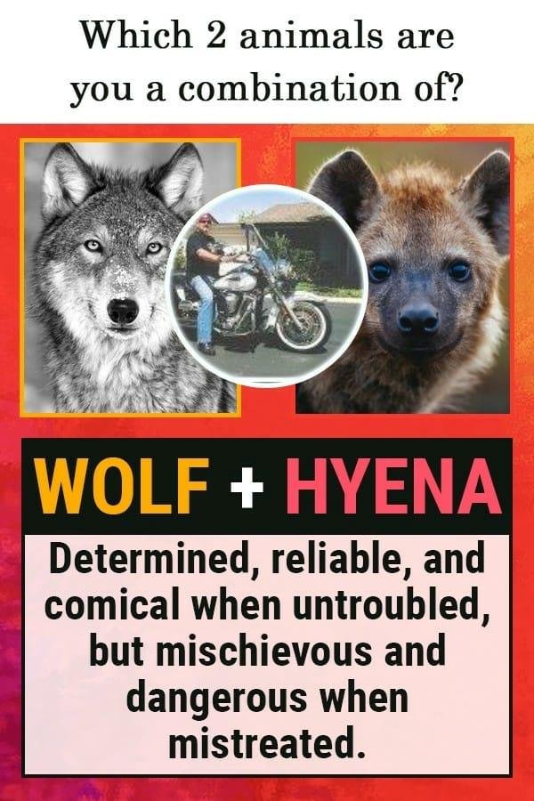Ha