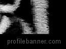 Chuck Drews' album, Profile Banner
