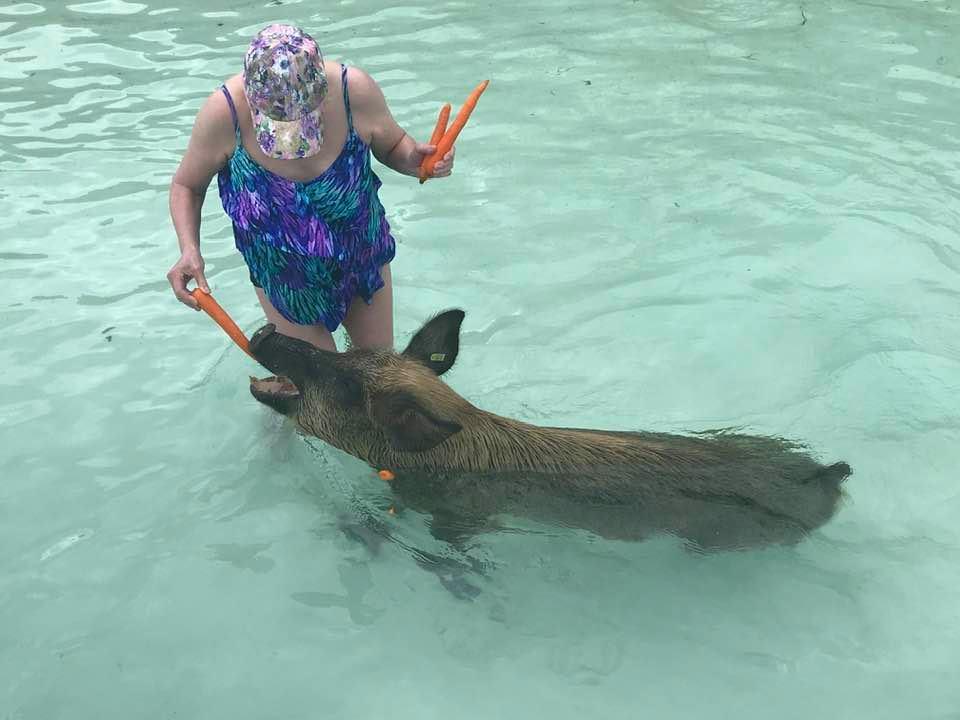 Sue Vadakin Alderman feeding a pig I’m the Bahamas
