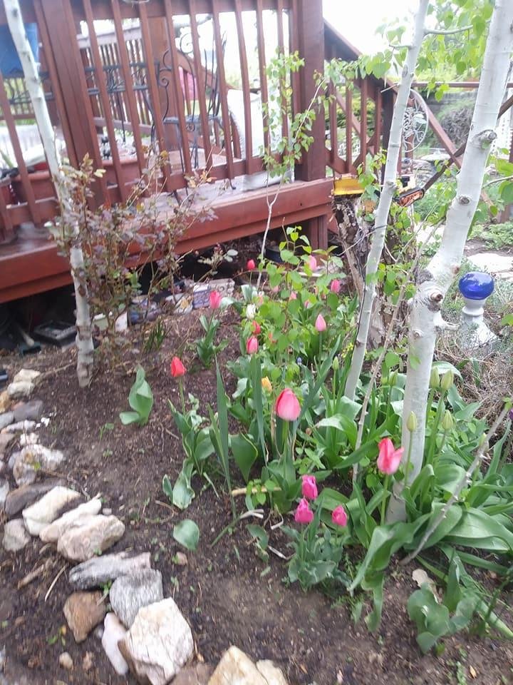 Deborah Ortega's album, Timeline Photos