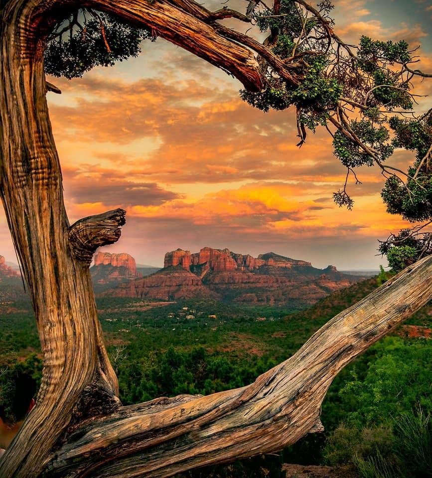 Wow from AZ!!'
