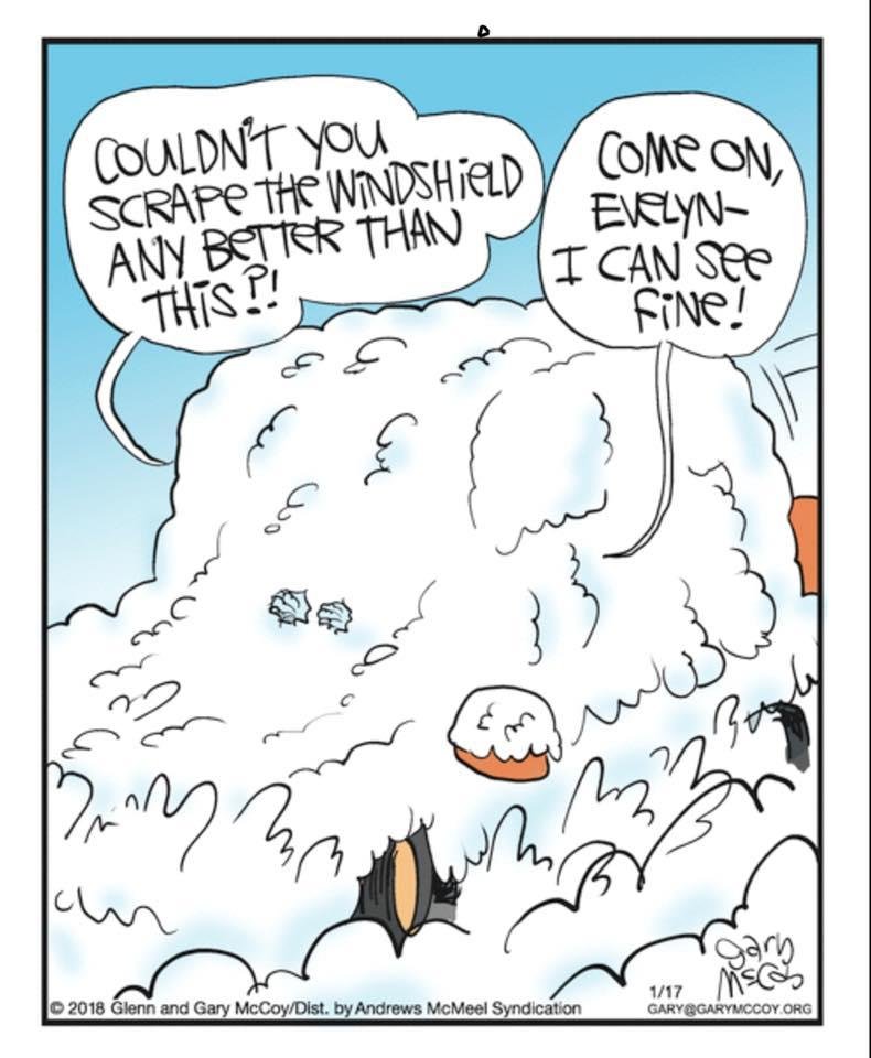 Meanwhile this winter in the Southeast. (Do they even sell scrapers in Florida?)