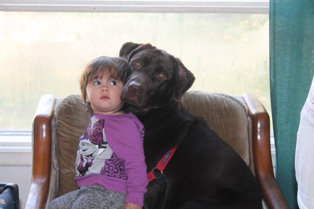 Phoebe and the mad dog her pal
