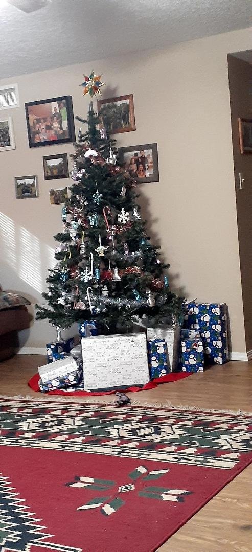 Want to wish a Merry Christmas to all my family and friends hope you all have a safe holiday