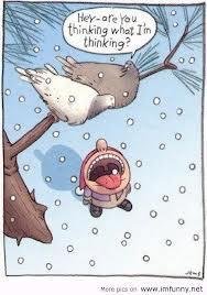 Hahaha!