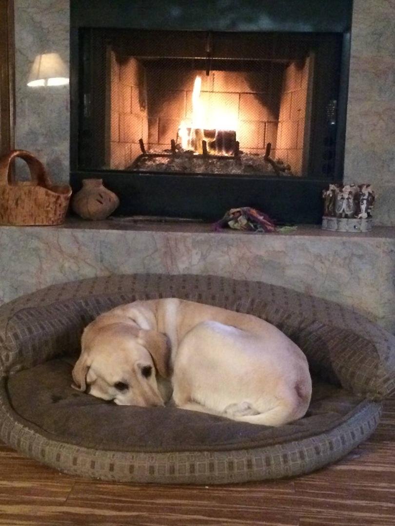 Full belly, warm fire, comfortable bed and people to love - Contentment!