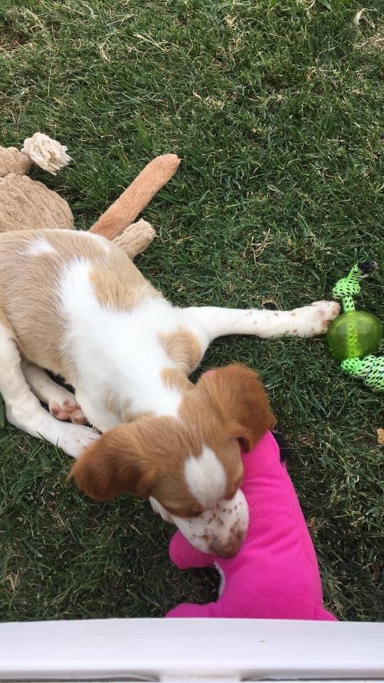 He's a growing