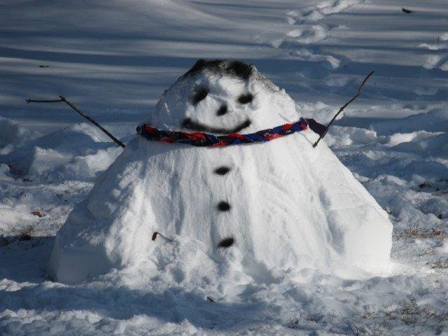 "Le Petite Snowman"  by Michelle and Ryan Cole