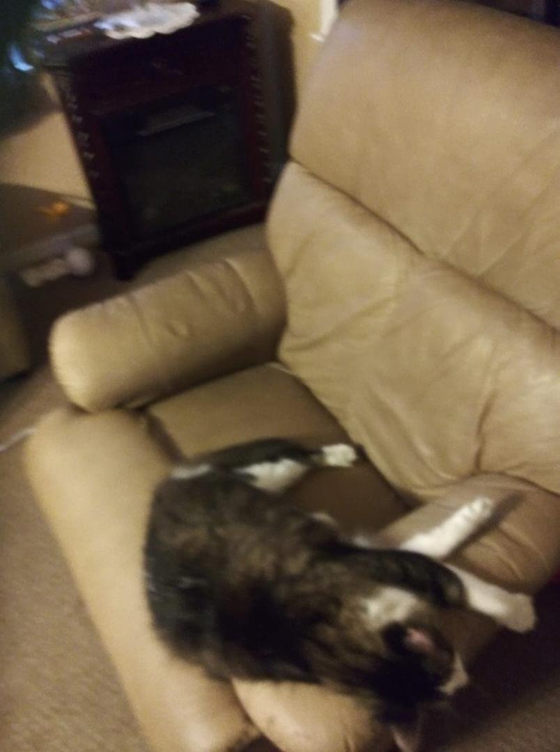 Candys new chair lol