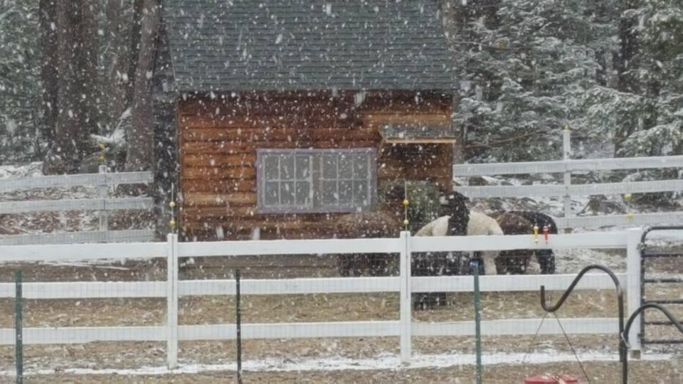 The snow that was not going to up my way.
