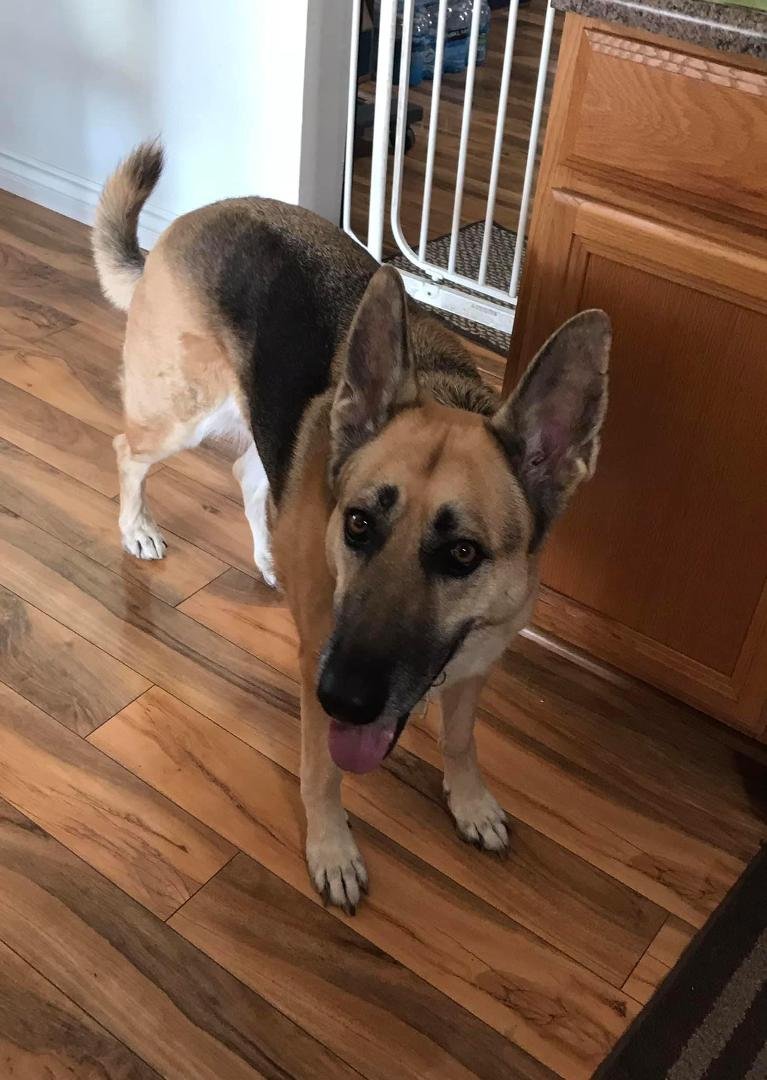 Happy Birthday to Kya, 7 years old! ❤️