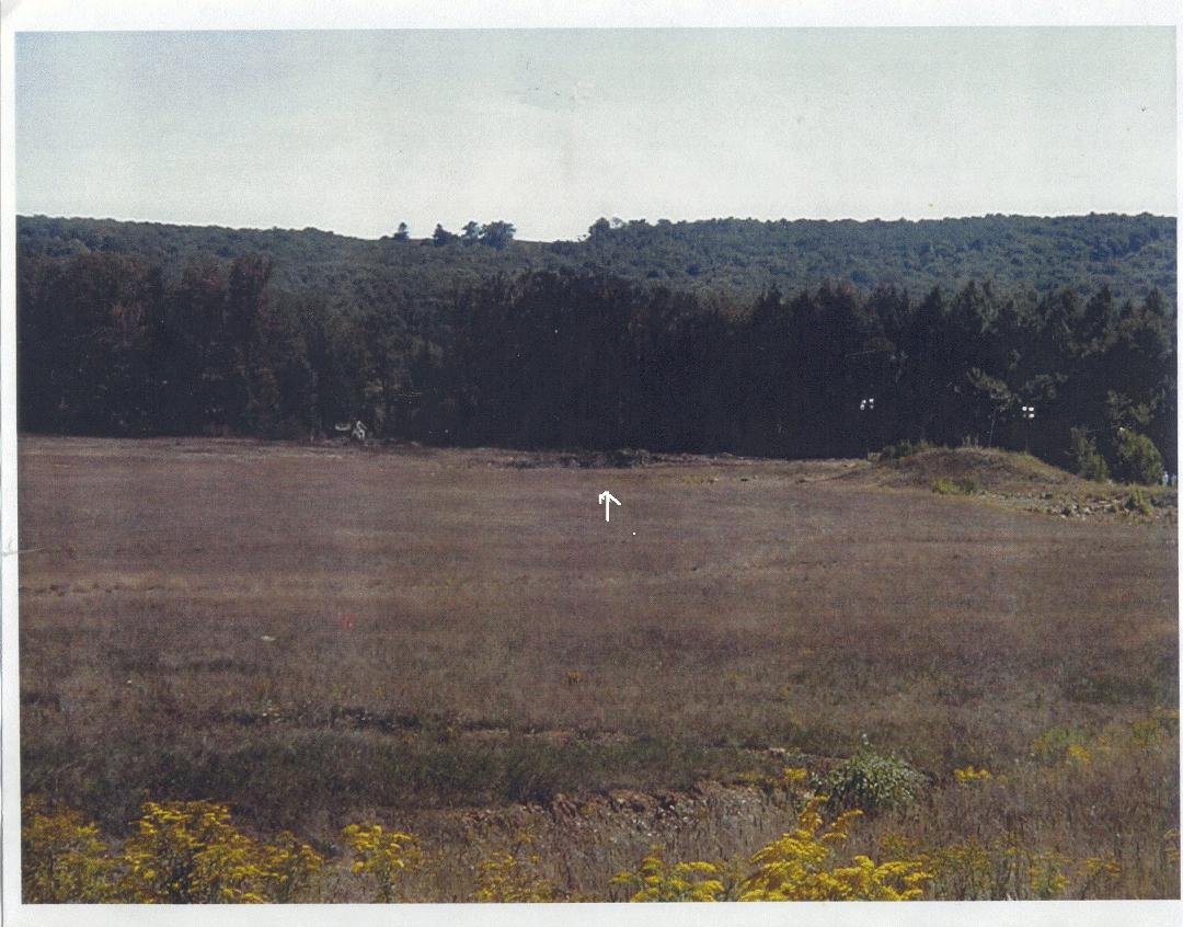 This is a pic of Shanksville, PA - Flight 93 crash area.  Above the arrow is the hole where it came to rest.  Totally hidden!!!!
