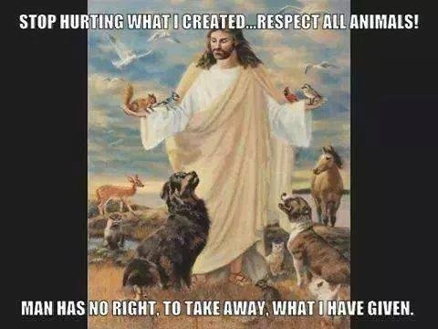 Jack Liston's album, Timeline Photos